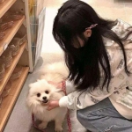 bet188亚洲体育/手机APP下载